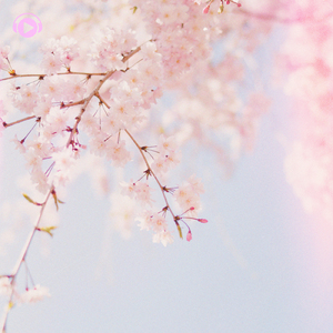 Outset (feat. cfworks)