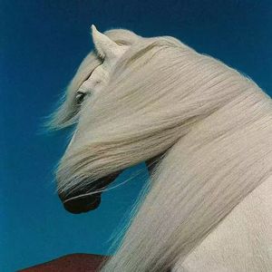 “白马马力夯” 孟菲斯BOBBYNOPEACE X SASI Type Beat