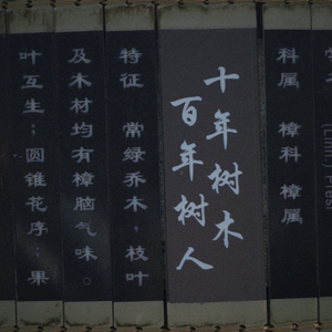 《西湖·十景漫游》
