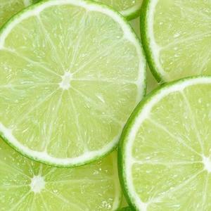 忽而今夏（翻自 汪苏泷）