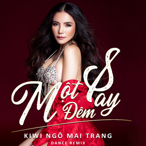 Một Đêm Say (feat. DJ Phơ Nguyễn) [Remix]