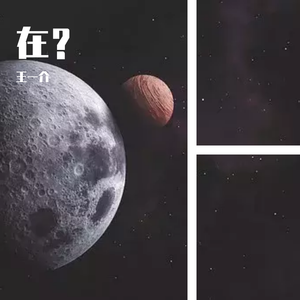 桥豆麻袋（片段）