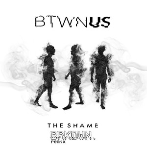 The Shame (brkdwn. Remix)