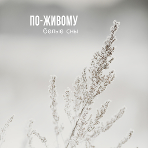 Размышления