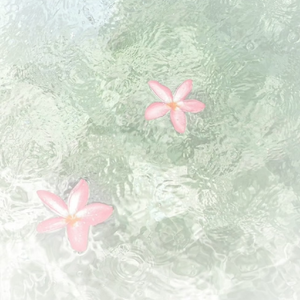云裳羽衣曲