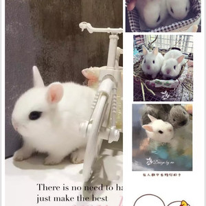 生日快乐