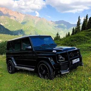 Диц дир ду ас