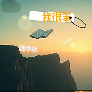 我很笨