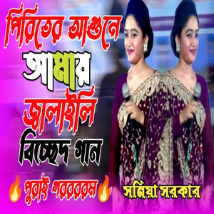 পিরিতের আগুনে আমায় জ্বালাইলি আর পুরাইলি