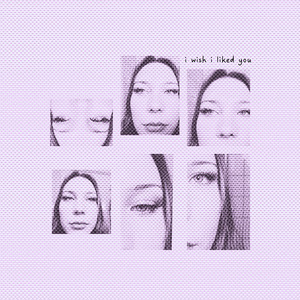I Wish I Liked You