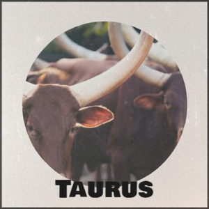 Taurus