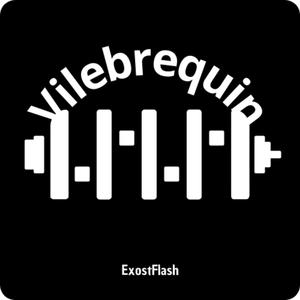 Vilebrequin en vrac