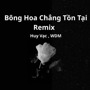 Bông Hoa Chẳng Tồn Tại (Remix)