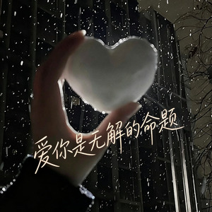 爱你是无解的命题