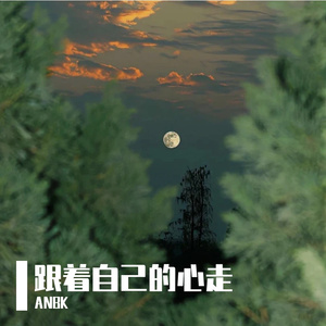 跟着自己的心走