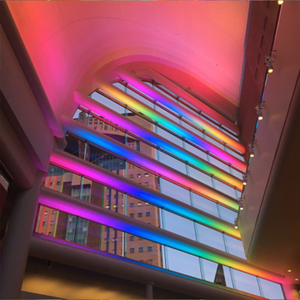 Playboi carti x Adrian Type Beat - "iint%"