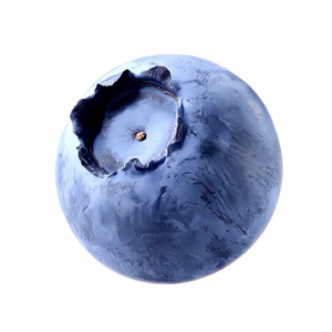 哈基米们的同窗会