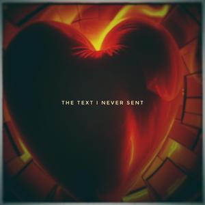 The text I never sent