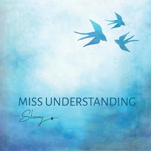 Miss Understanding