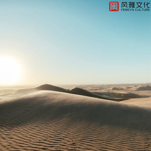 心花凋零哭泣 -小提琴