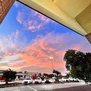 曾经的孤独（深夜热播）