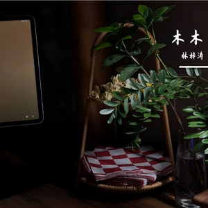 翻看旧痕仍想你