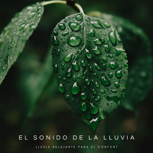 Danzando En La Lluvia