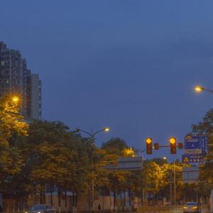 羽毛