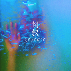 Reverse（倒叙）