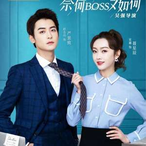 Say I love u (《奈何BOSS又如何》网络剧主题曲)（翻自 黎林添娇）