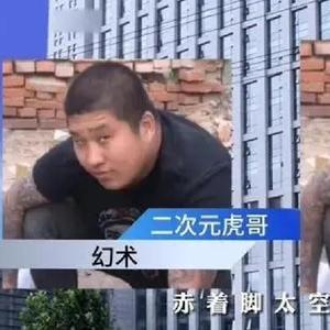 郑伊健-虫儿飞 （王天野 remix）