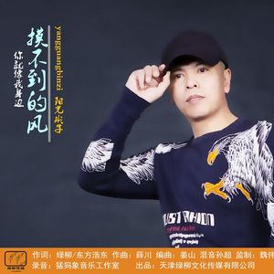 摸不到的风【阳光彬子】