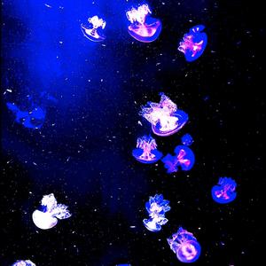 blindly (feat. Thximnumb)