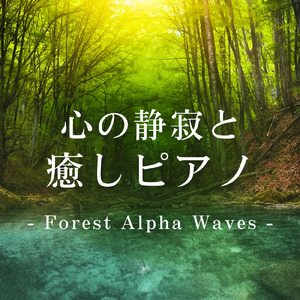 寝る前に聴きたい自然と眠くなるα波ギター 毎日の体調管理・ルーティーンに最適 (自律神経を整える睡眠用 森 鳥)
