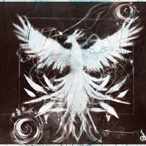 Euphoria of Electric Echoes in the Digital Age