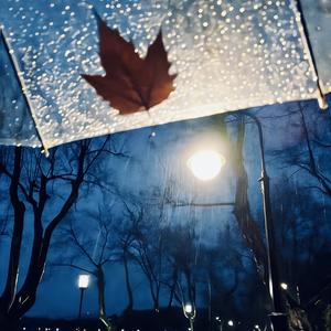 阴雨后.（Prod.Siren &EVO MUSIC）