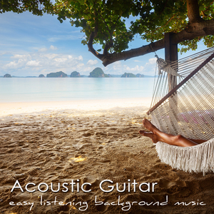 Acoustic Guitar