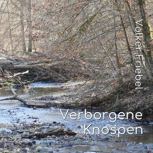 Verborgene Knospen