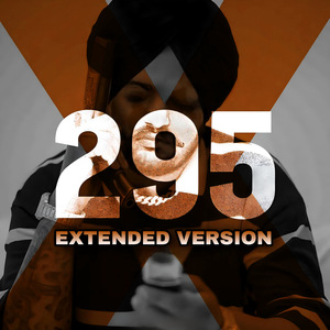 295 ( Extended Version )