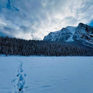 Operating room music