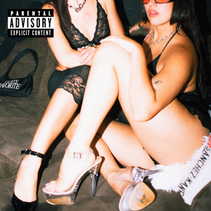 Mini Mini Falda (Remix)