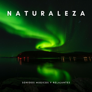 Ambiente Para Dormir