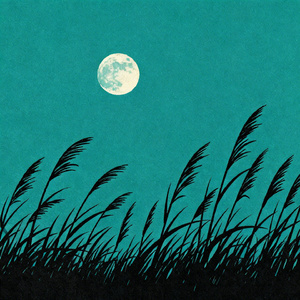 独一无二的月亮