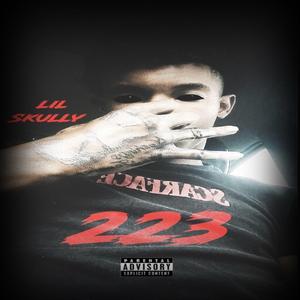 lil Skully - 223
