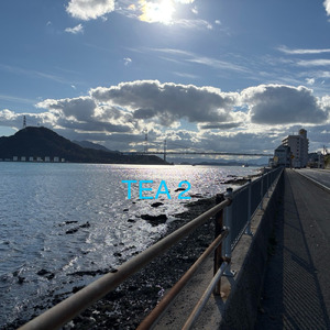 ためらいベイウォーク (Off Vocal)