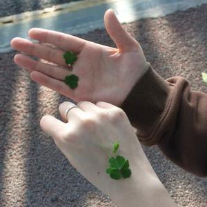 你看到的我 (郑大钱版)