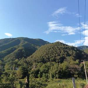 尘泥，闪耀出道