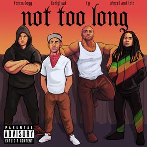 Not Too Long (feat. TY, Temm Dogg & Sweet & Irie)