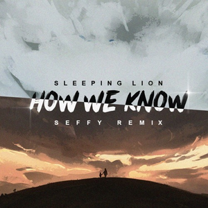 How We Know (Seffy Remix)