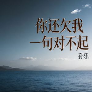 你还欠我一句对不起(伴奏)